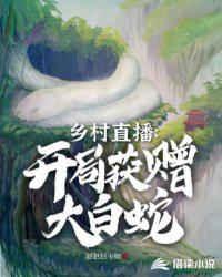 藏起孕肚去离婚，大佬竟是恋爱脑